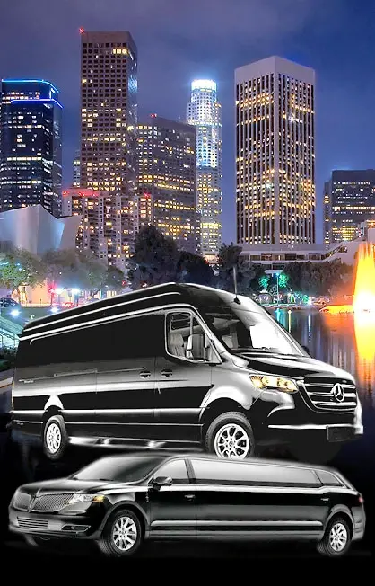 la limo service