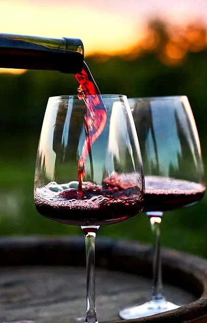 Santa Barbara Wine Tours